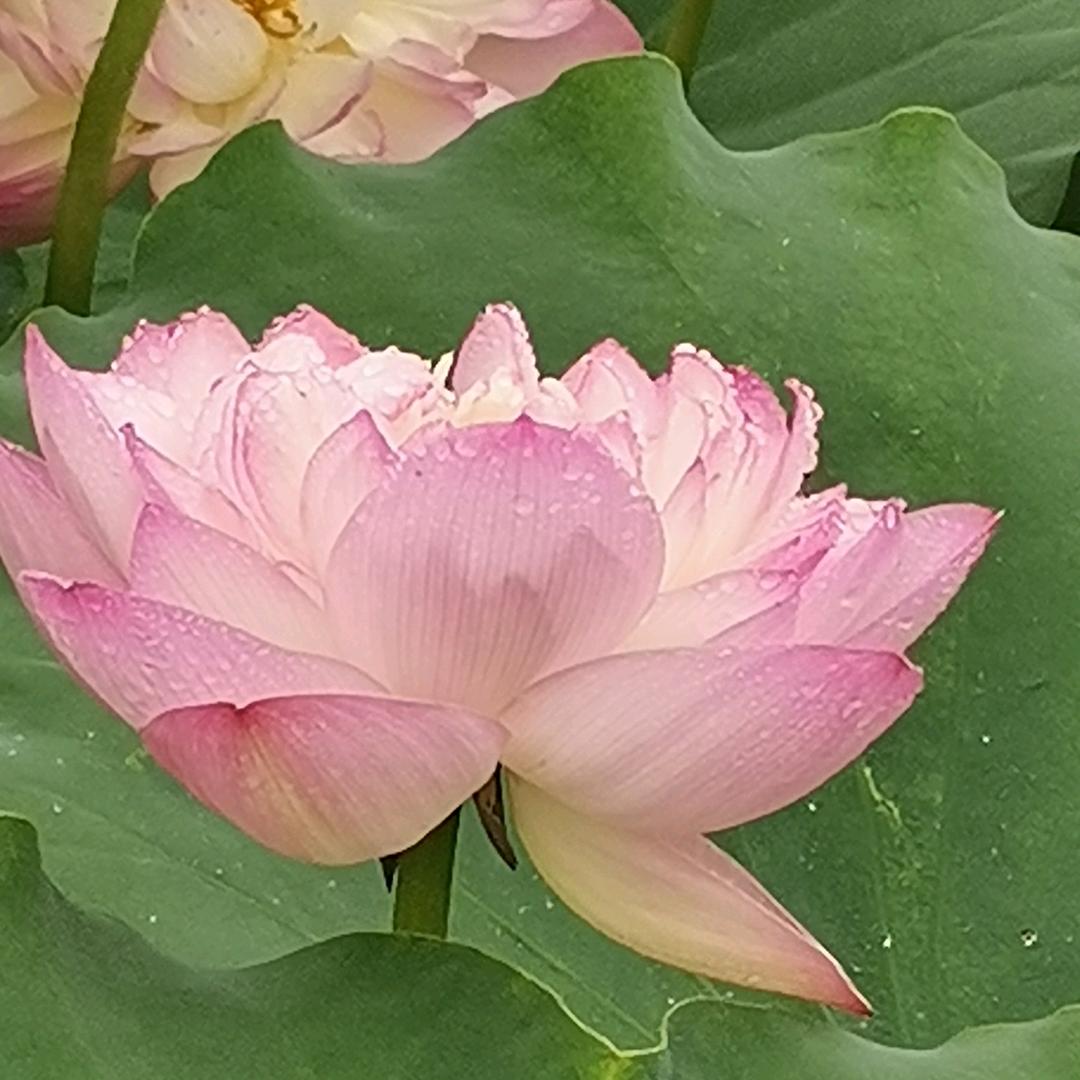 一米阳光
