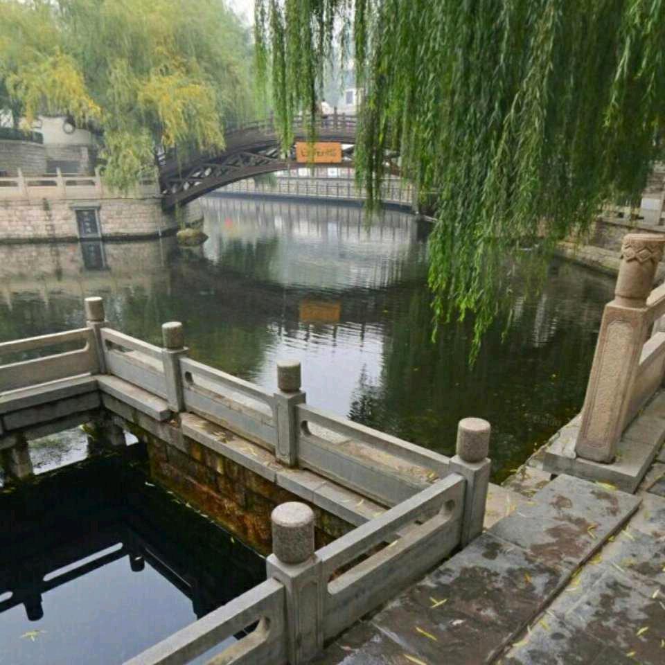 四季长青