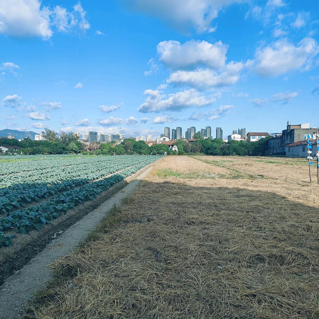冰川
