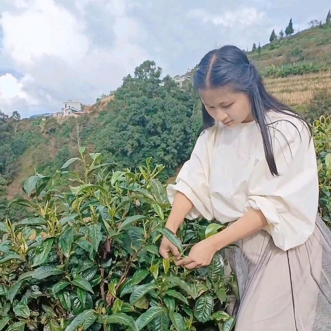 云南的彩
