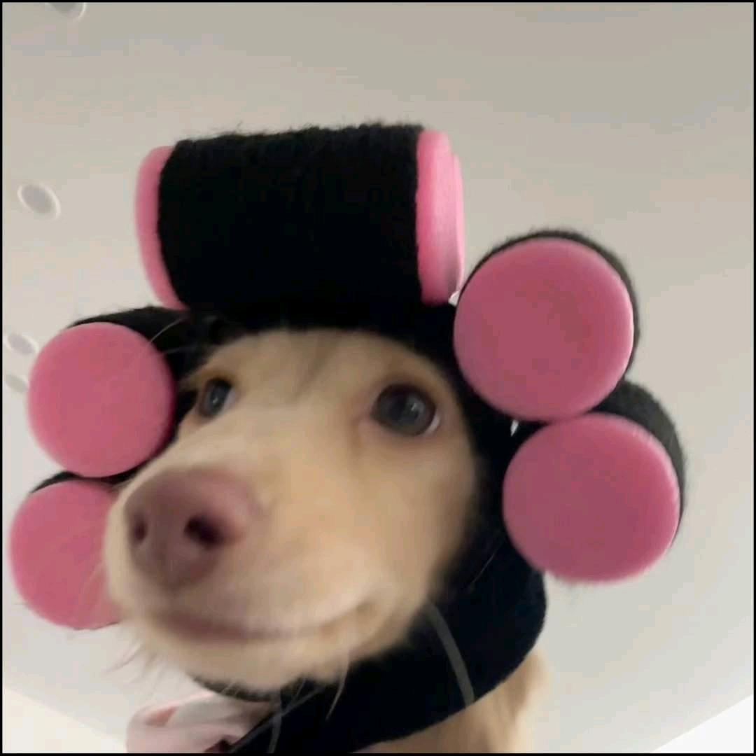䴭