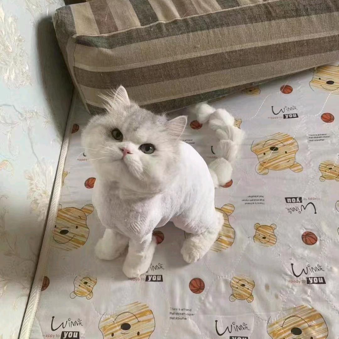 等待