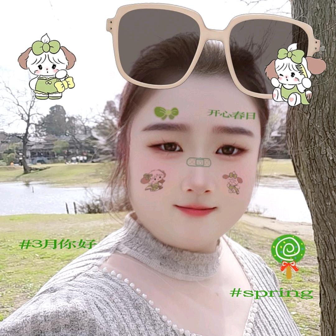 竹风雅梦