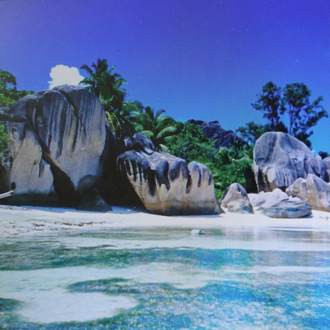 想要多拉A梦的口袋