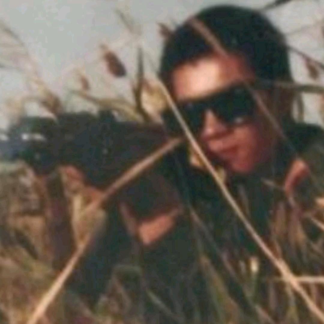 欣欣的大树（晚上8.30）