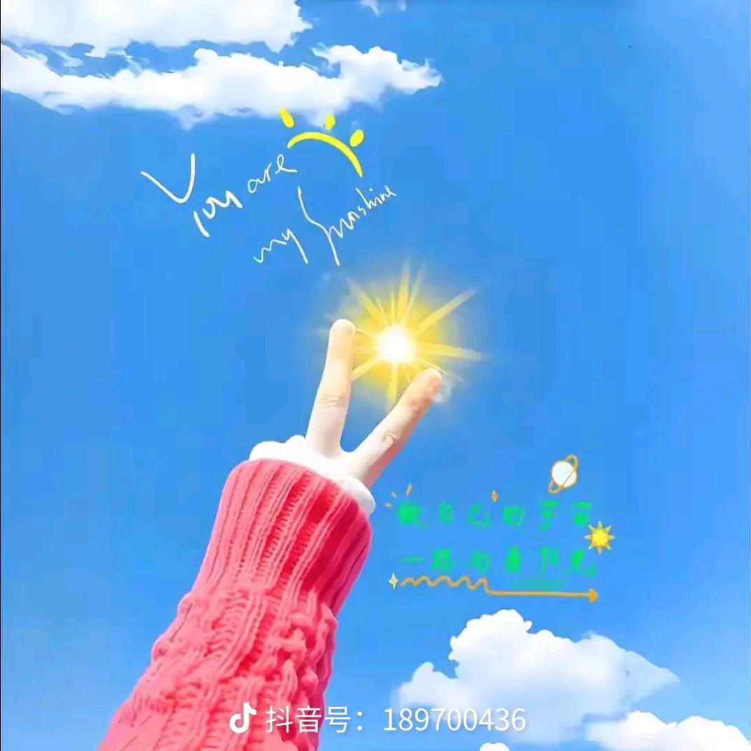 柠檬🍋心酸