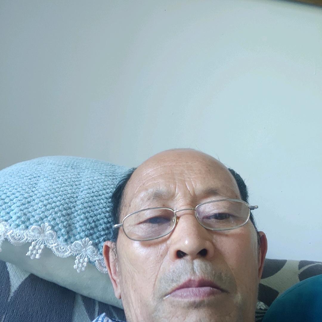 鱼儿