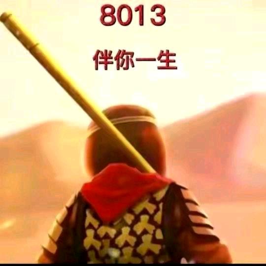 情怀哥8013