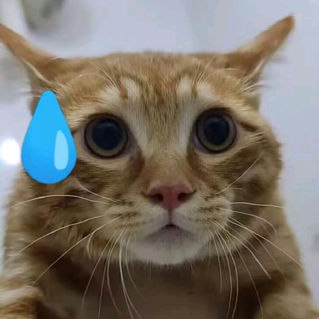小白手套