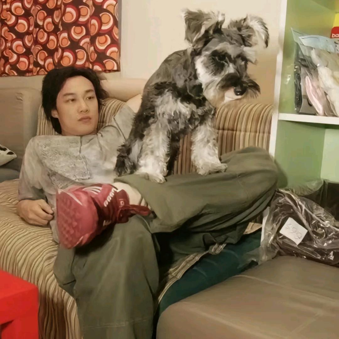 会飞上天的鱼🐟