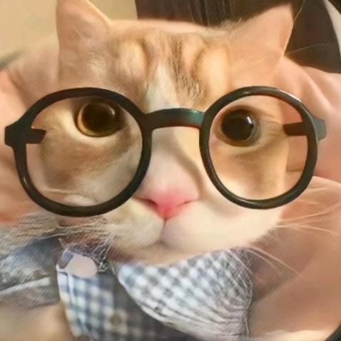 小柒做饭日记🍚