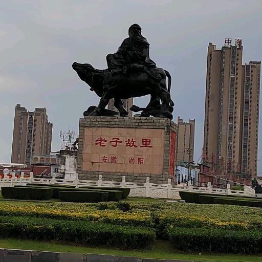 老沈