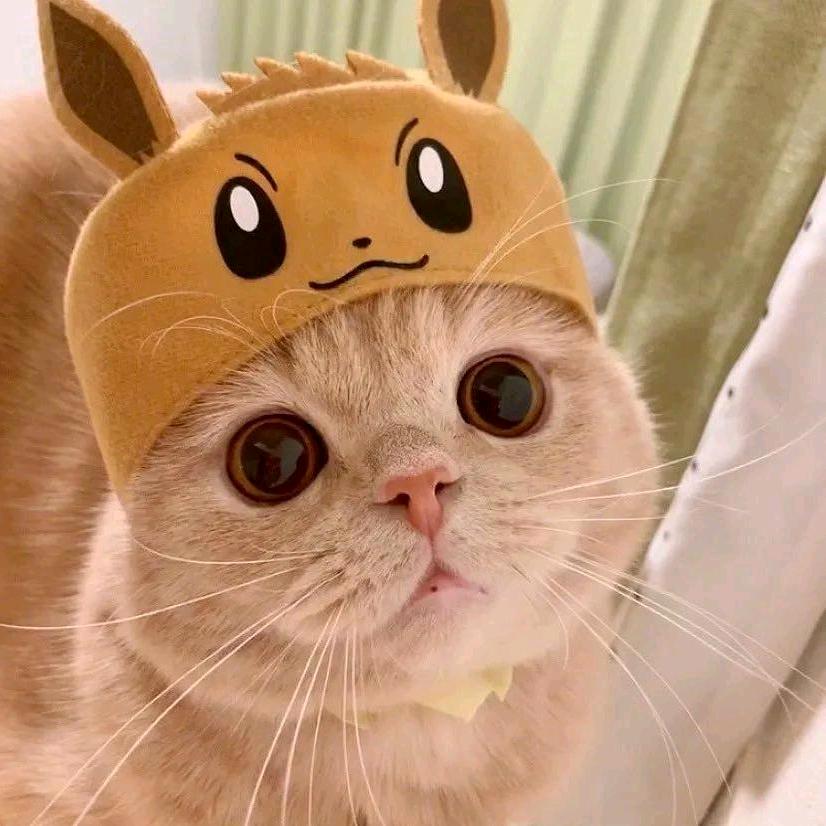 落纱
