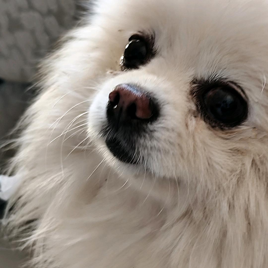 Q☁︎