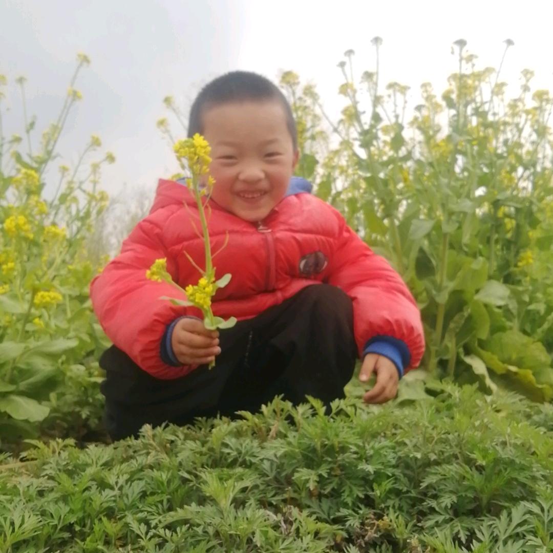 ᝰ꧁🍭熊有成竹💓꧂