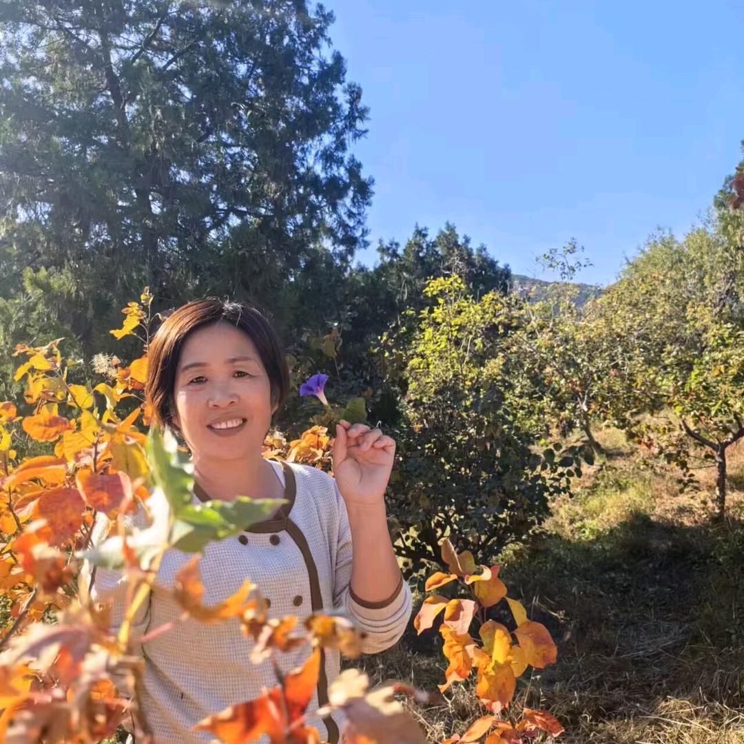 万家乐中介，万姐