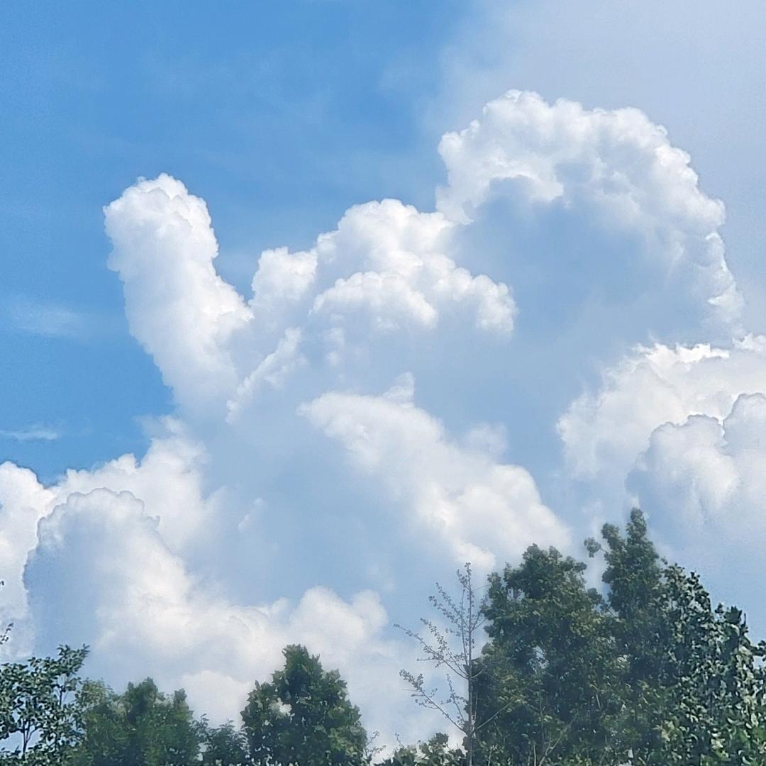 🍻🤪呵呵🍻