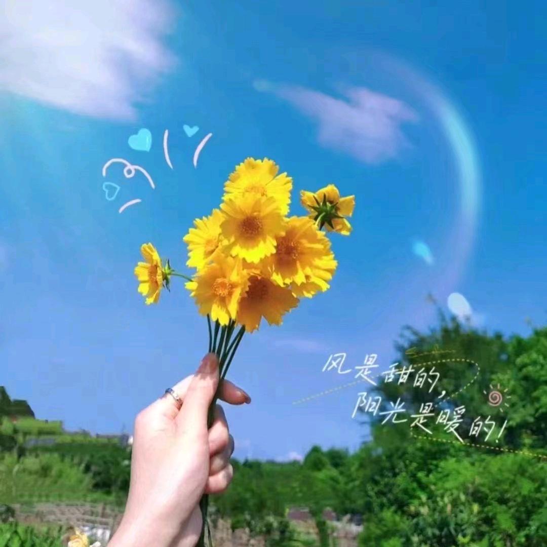 海洋💞⁵₁²҈₃º💞