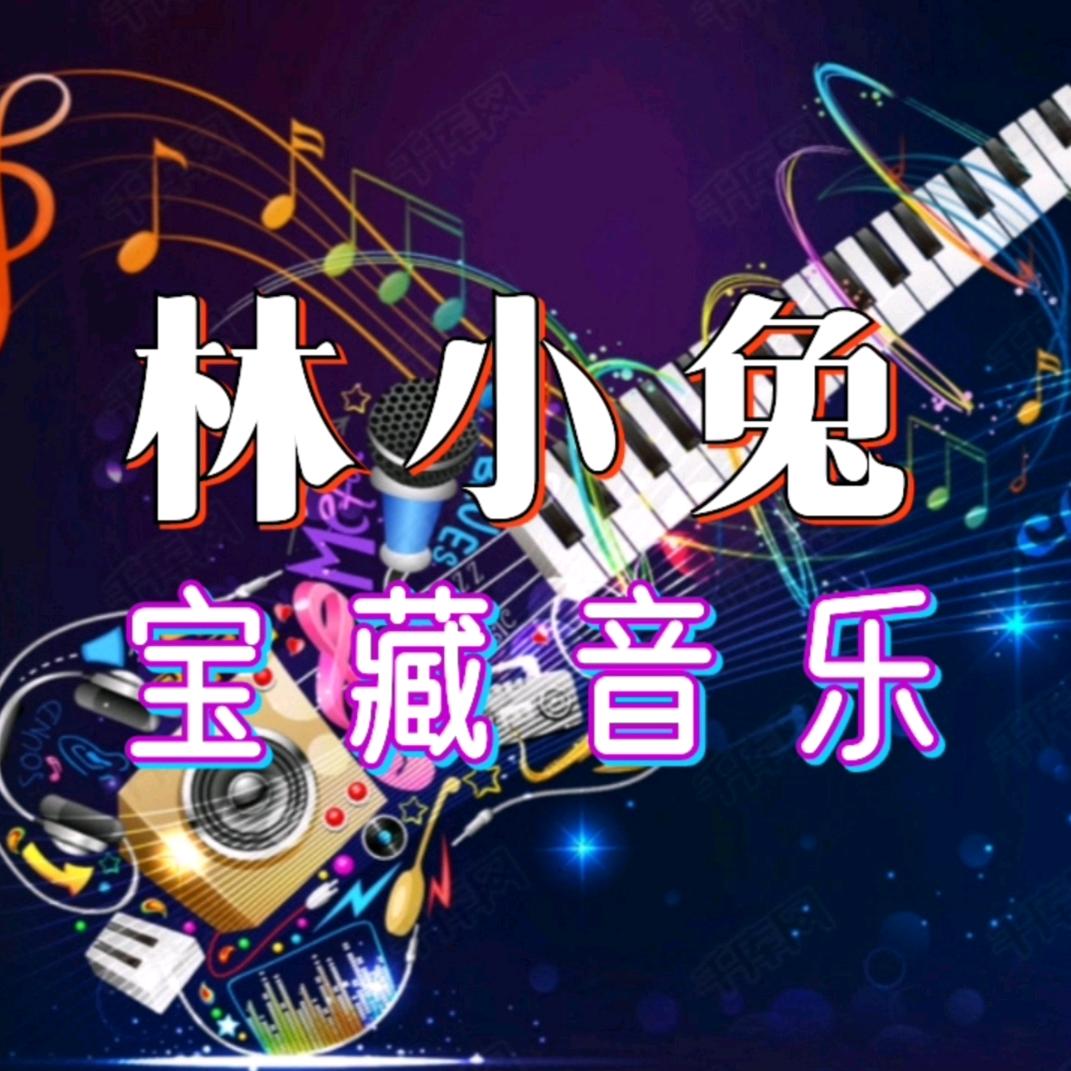 林小兔宝藏音乐