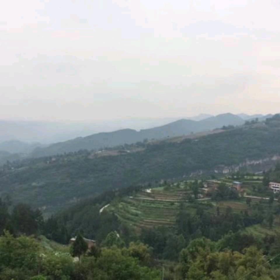 坚强地走自己的路