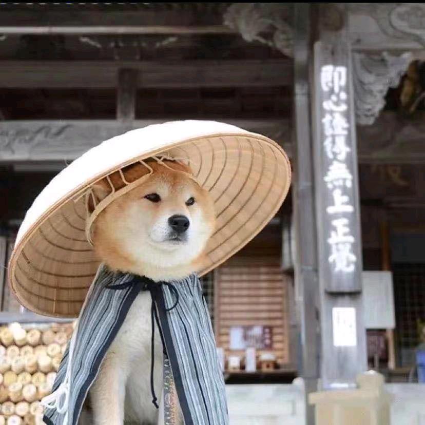 @老伙计