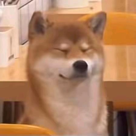 拒绝查理苏99次