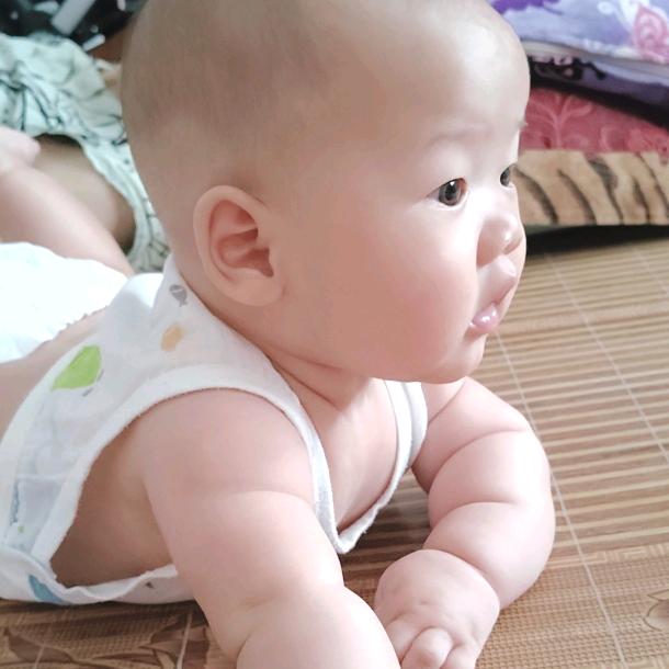 堂宝成长录