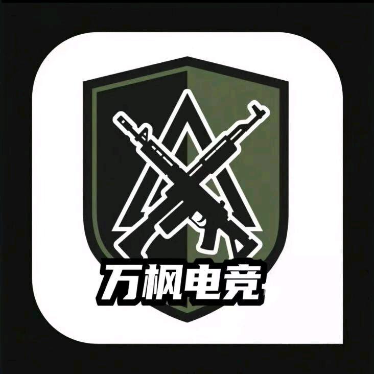 万枫电竞（三角洲行动）