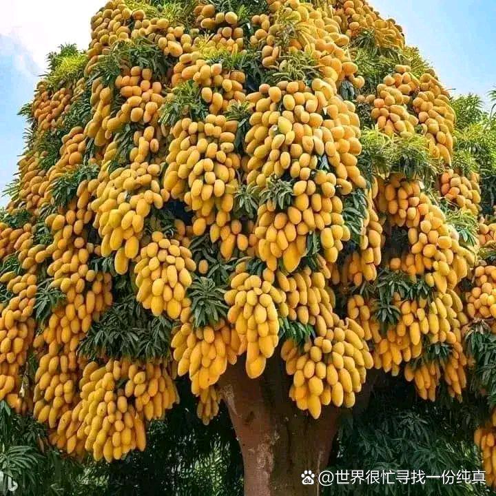 挥笔洒天下