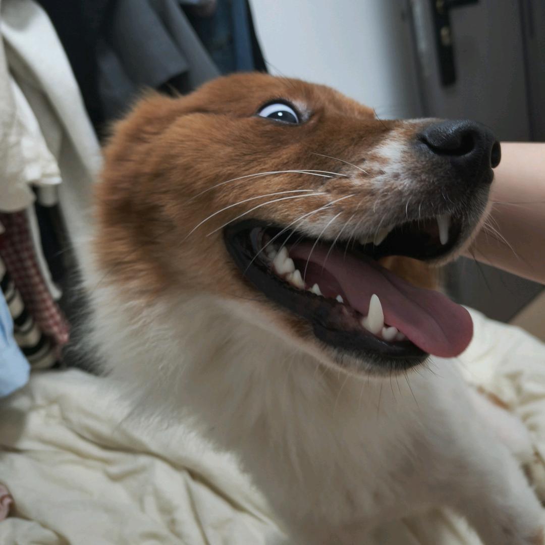 昵称太强大无法显示