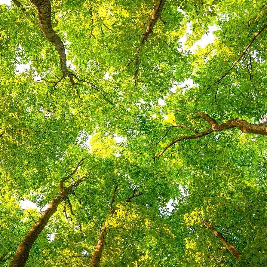 开开心❤️心过好每一天