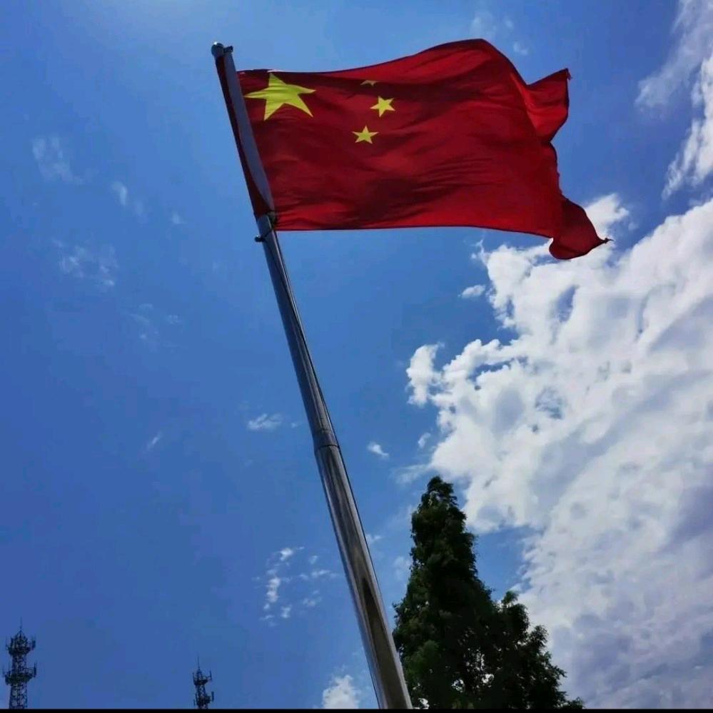 情非得已