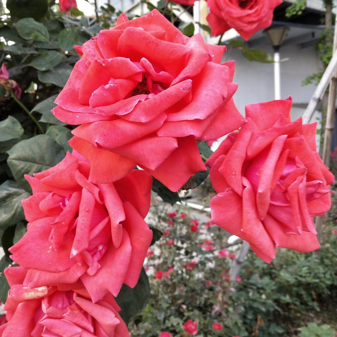 忘不了过去☔☔