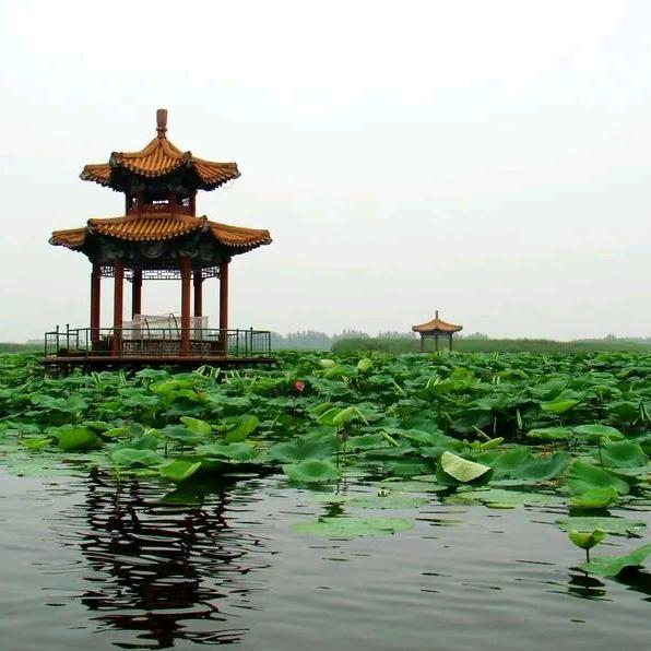 小杨白洋淀特产（白洋淀熏鱼熏鱼）