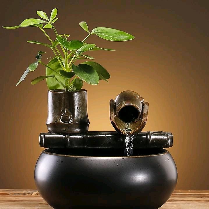 纾白