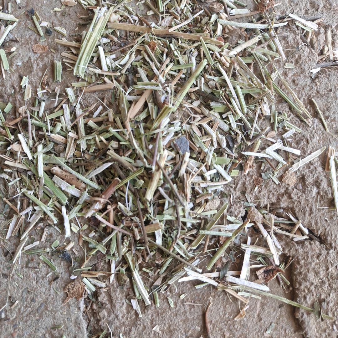 长年出售牛羊草料