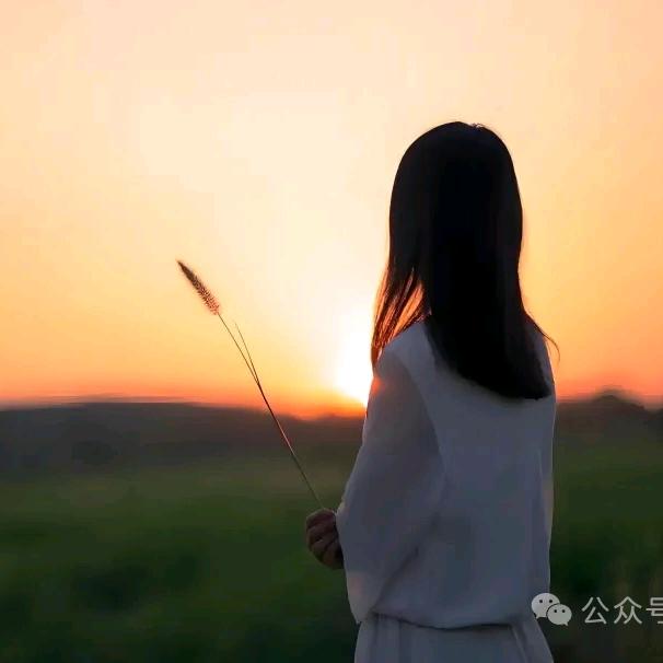 Ꭽℯ静待春来💕紫色的雨ꦿ᭄