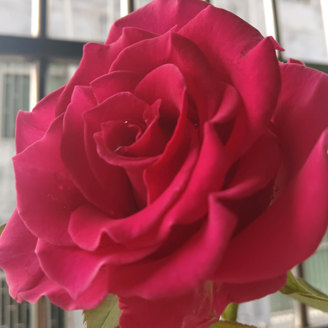 ℘小💞᭄᪲ᩚ꯭ᩚ幸💞福᭄ᩚ꯭ᩚ