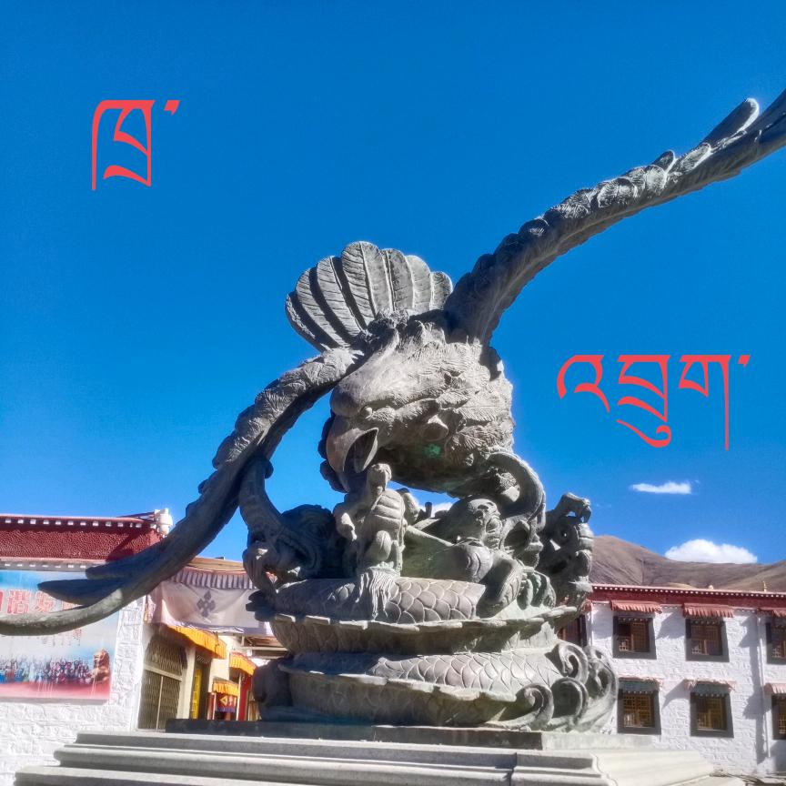 心诺向阳