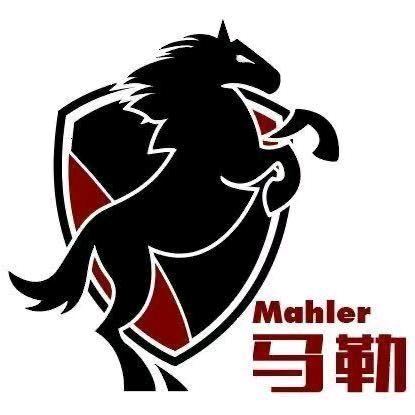 马勒系统门窗肥城市