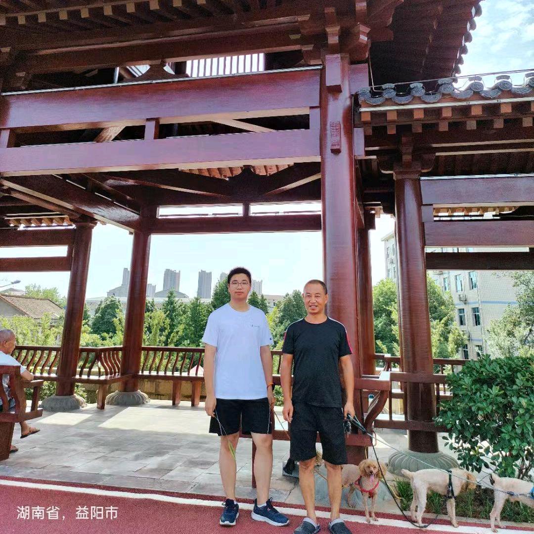 错落飞舞（24.8.30）