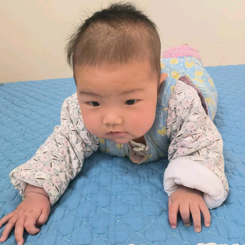 不会浪漫