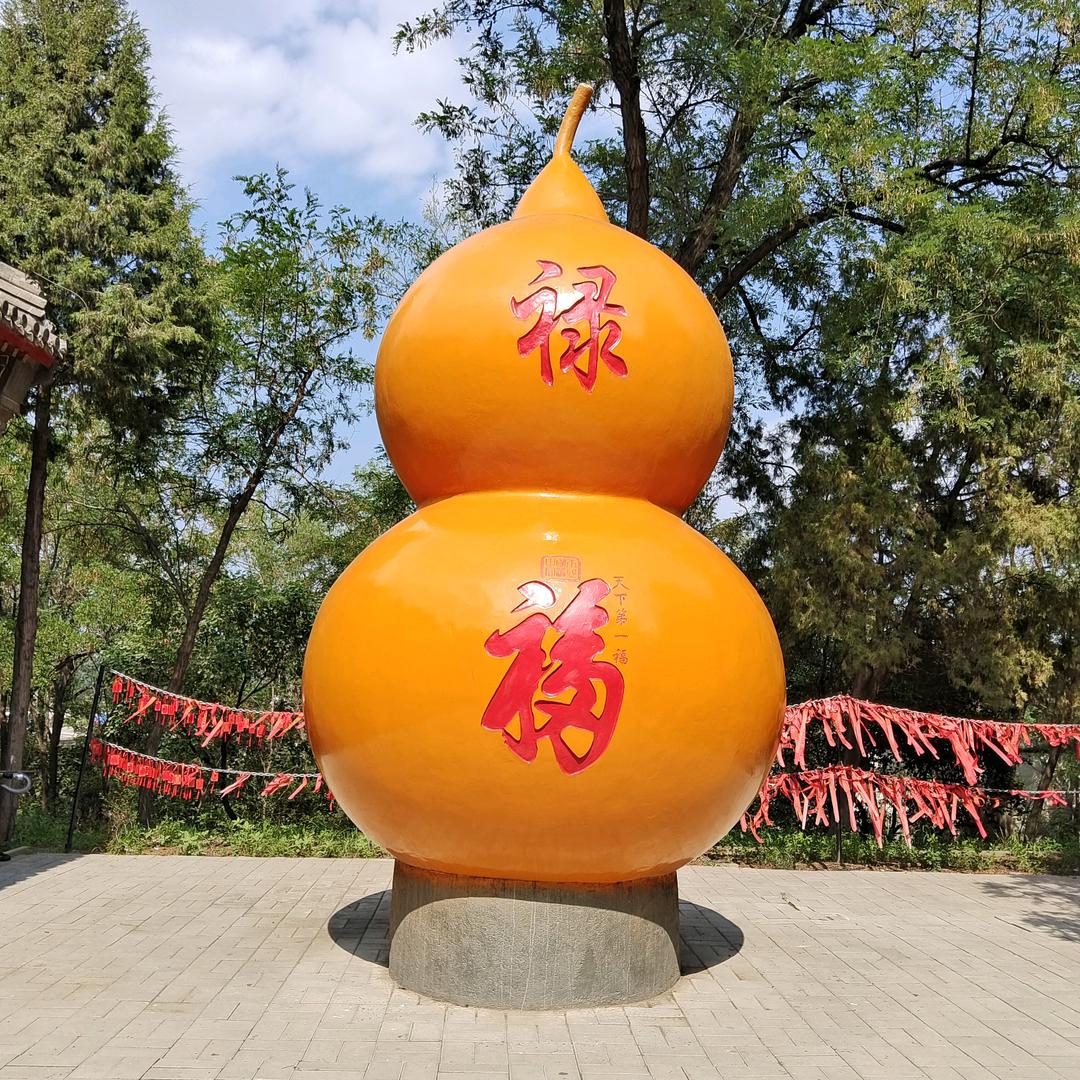 龙哥
