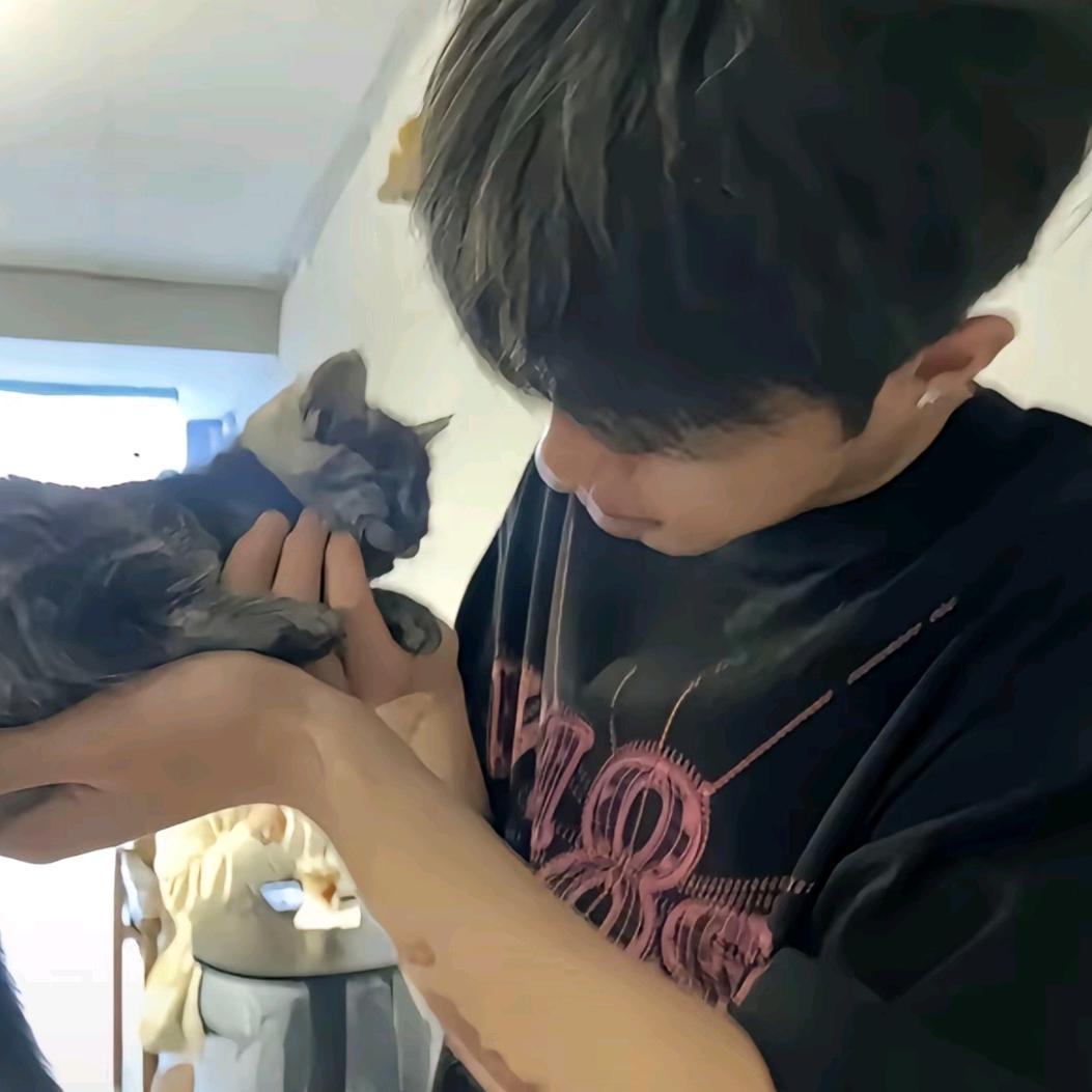 Cy小政