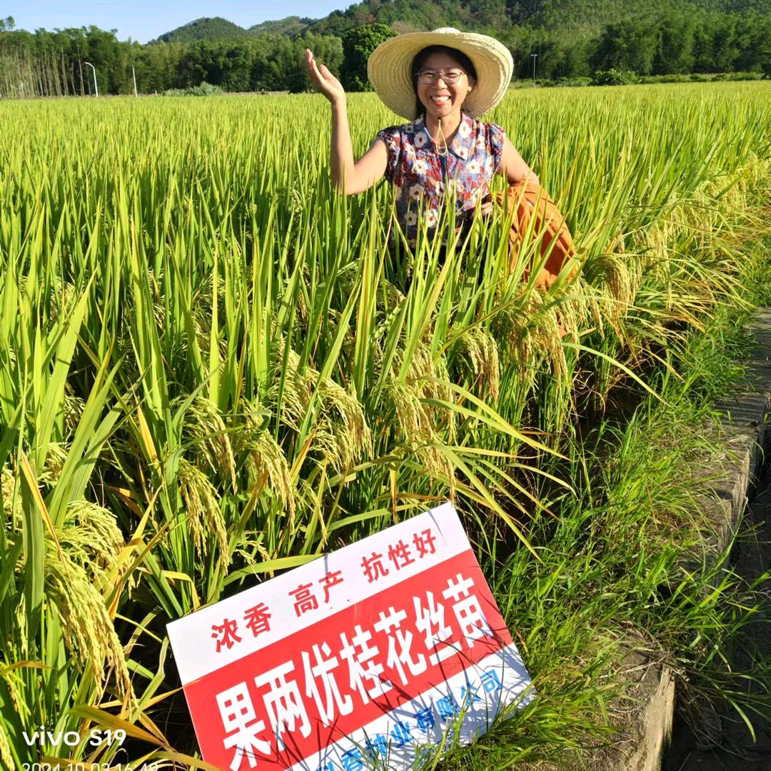 佳景农资，亚凤