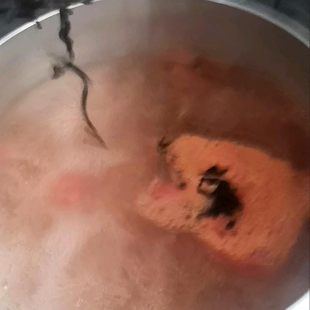 追光