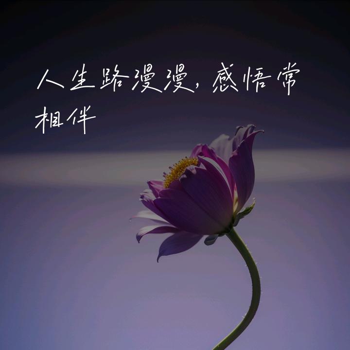 百味人生
