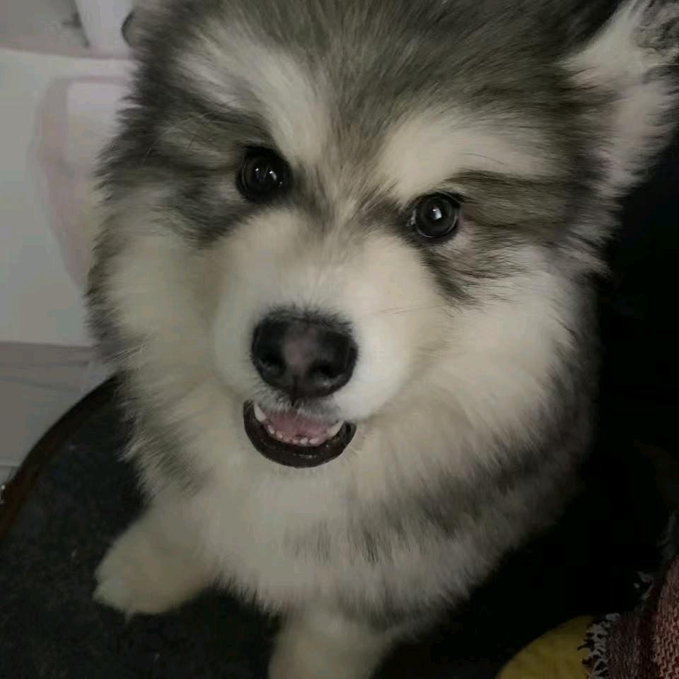 徐闻腾乐托管（四中、一中）