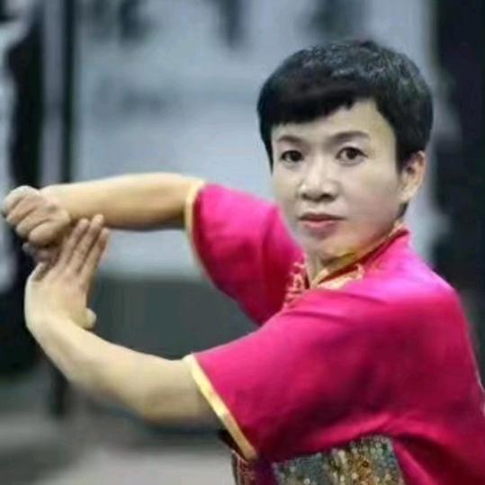 学武术找金龙