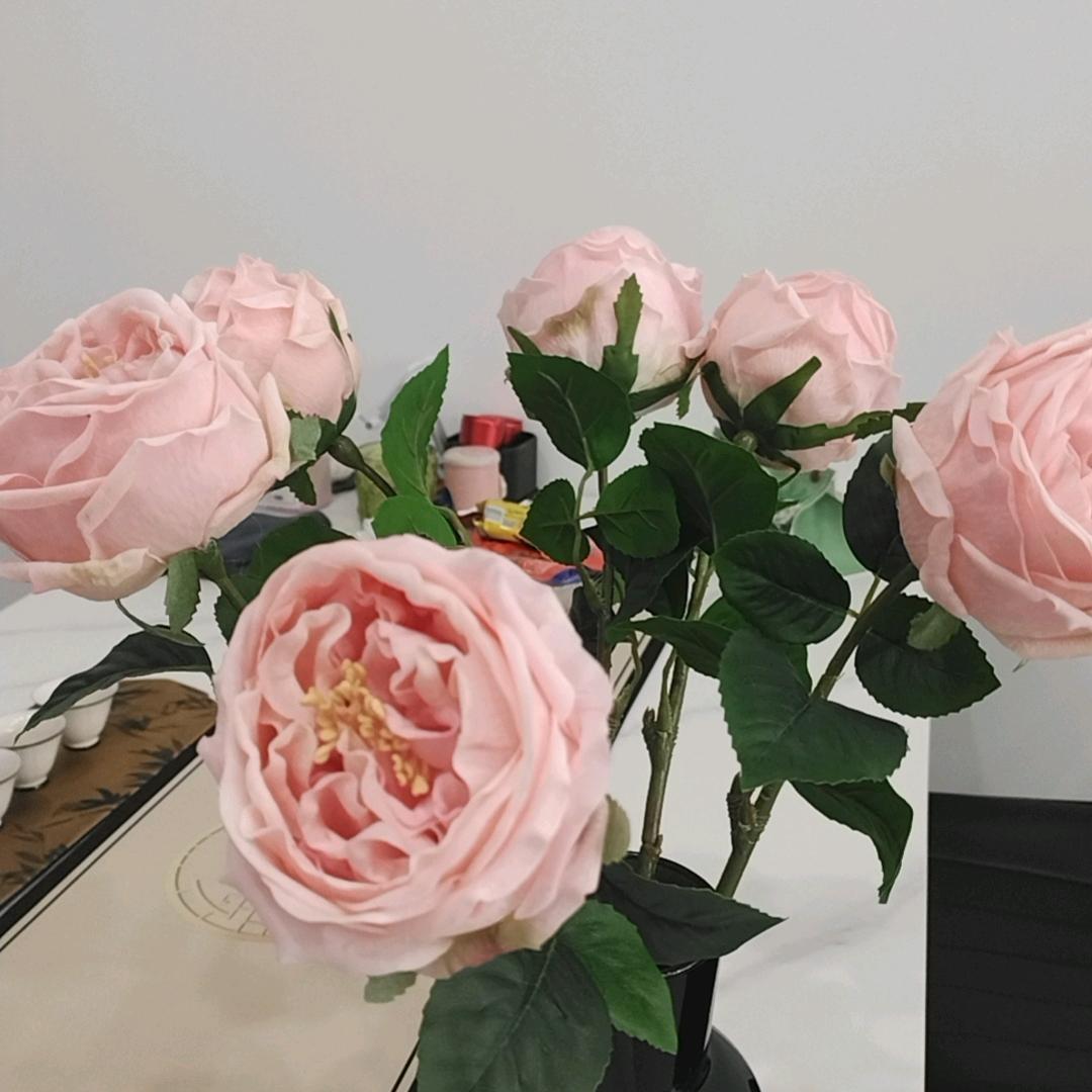 努力（首播筹备中）